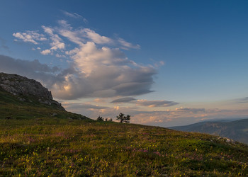 Mountain Crimea / ***
