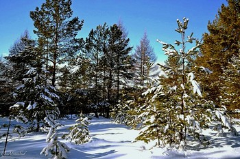 No name / ...