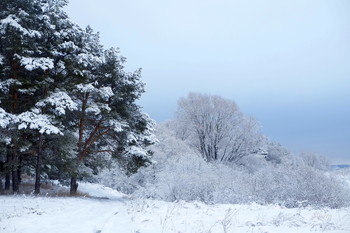 it was winter. / ***