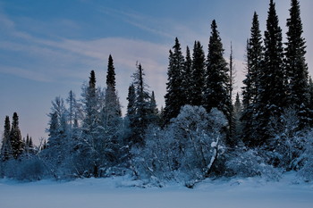 Winter day. / ***