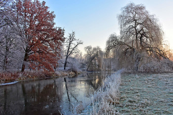 The River of bizarre winter trees / Ich liebe den Morgen und die winterliche Stille, dieses Foto entstand bei einer Foto Tour am Fluss "Aller"