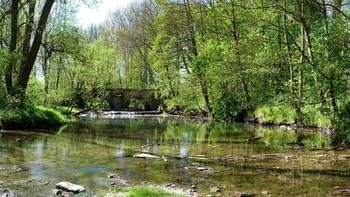 am kleinen Fluss im Mai / an der Nethe bei Amelunxen, Kreis Höxter, im Weserbergland