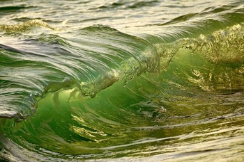 surf / ***