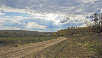 Autumn road / ***