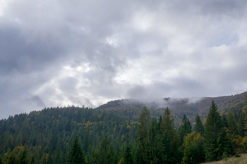 In the Carpathians / ------