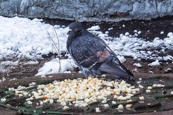 Welcome back! / …...