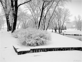 Winter in the Park / ***