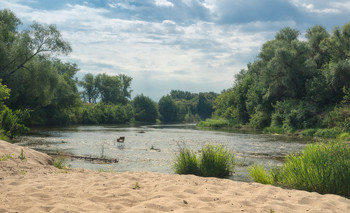 After the rain / ***