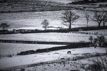 snowy landscape at Yatton (Bristol, UK) / Find more photos at CLICKASNAP