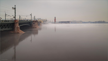 Foggy morning / ***