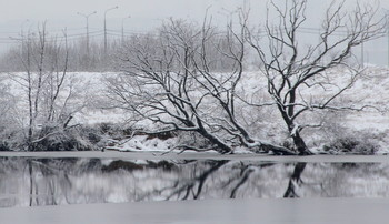 Winter sketches / ***