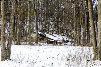 Abandoned Sugar Shack / This abandoned sugar shack looks cool in the bush