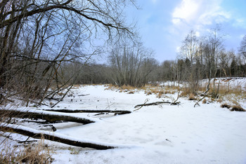 Frozen River / ***