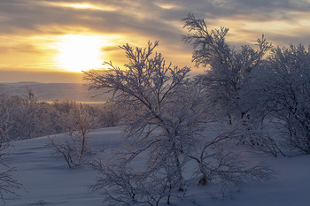Northern sunset / ***