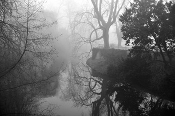 The gnarled tree in the city park / Dieser stille Morgen im Frühwinter beflügelte mein Fotoauge und ich sah wunderschöne Motive