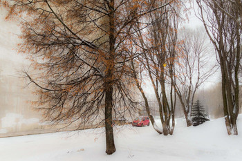 Weather recovered ... / ***