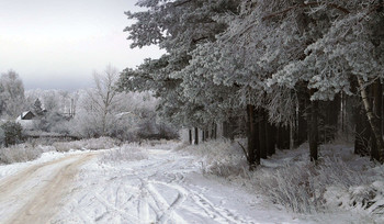 in January / ***