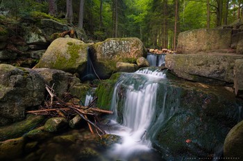 Like Stones / One morning over a mountain stream, I listened to his song.