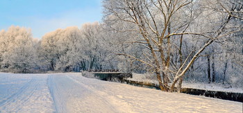 Frost and sun ... / ***