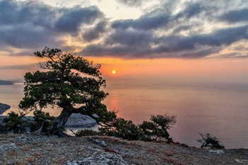 Crimea, Dawn / ***