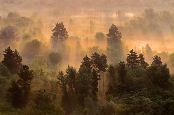 The sun rose / ***