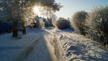 Winter Light / ***