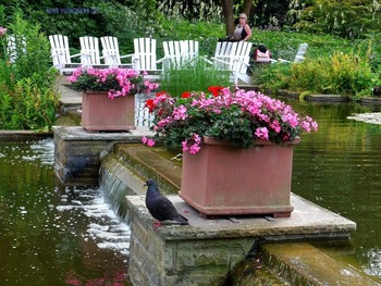 Planten un Blomen Hamburg / ***