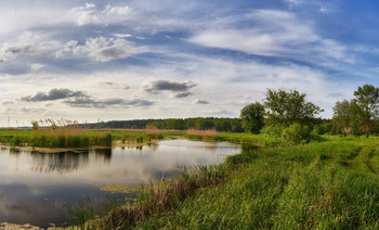 spring landscape / ***