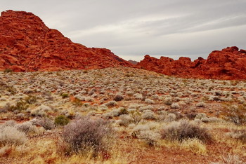 Valley of Fire / Valley of Fire State Park, Nevada, USA