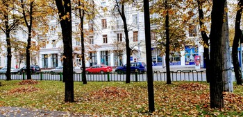 Autumn in the city / ***