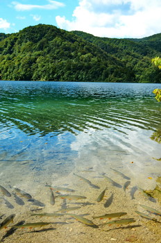 Plitvice Lakes. / ***