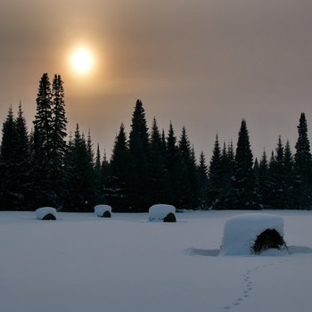 Winter evening. / ***