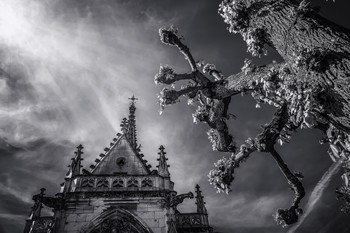 Amboise Castle. / ***