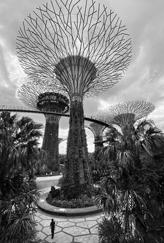 &nbsp; / Sungapore