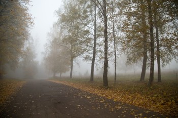 Autumn Road / ***