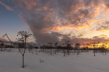 in the evening / ***