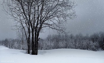 Snow / ***