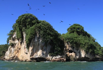 Bird island / ***