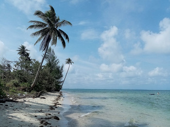 On the beach / ***