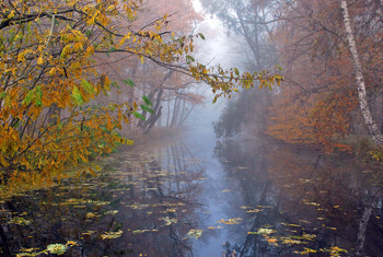 Autumn Fog by the River / Im herbstlichen Nebel sah der Fluß richtig romantisch aus, die Farben ispirierten mich für dieses Bild
