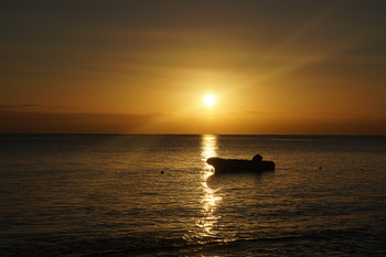 Dawn / ---------
