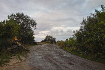 Country road / ***