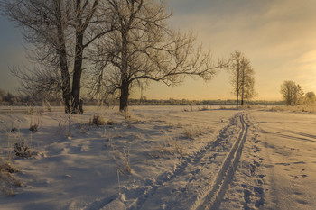 Sunrise on the river / ***