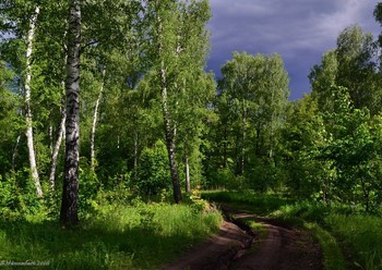 Before the storm / ...