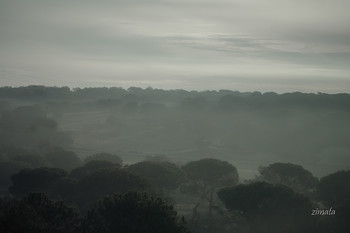 Before the sunrise / ***