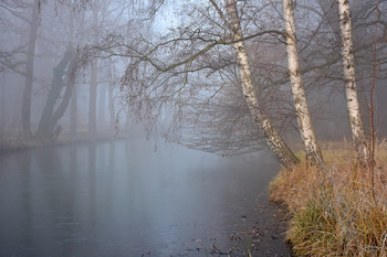 Foggy Winterforest / Der morgendliche Nebel lag so fest über dem Fluss, das er niemals abziehen würde, die Windstille war dabei fast unheimlich