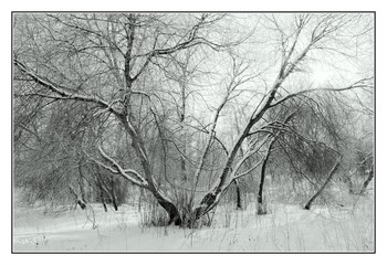 Winter etude / ***