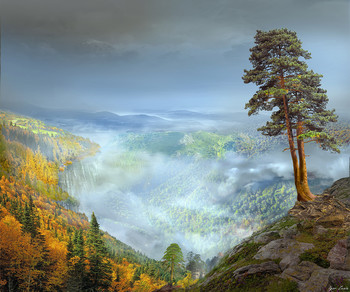 Carpathians / ***