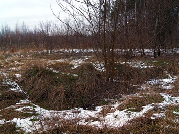 Winter is over / ***