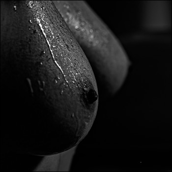 bodyparts / wet wet wet... ;-)